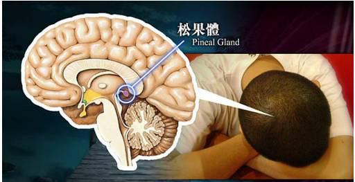 小小夜燈傷害的不僅僅是寶寶的眼睛！