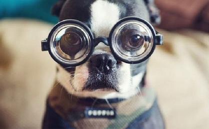 造成兒童青少年近視的四大原因！