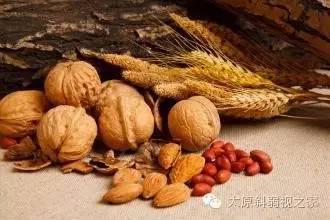 對視力有幫助的飲食小常識