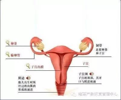 這些身體部位，不保養老的快