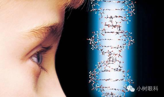 高度近視會遺傳寶寶嗎？