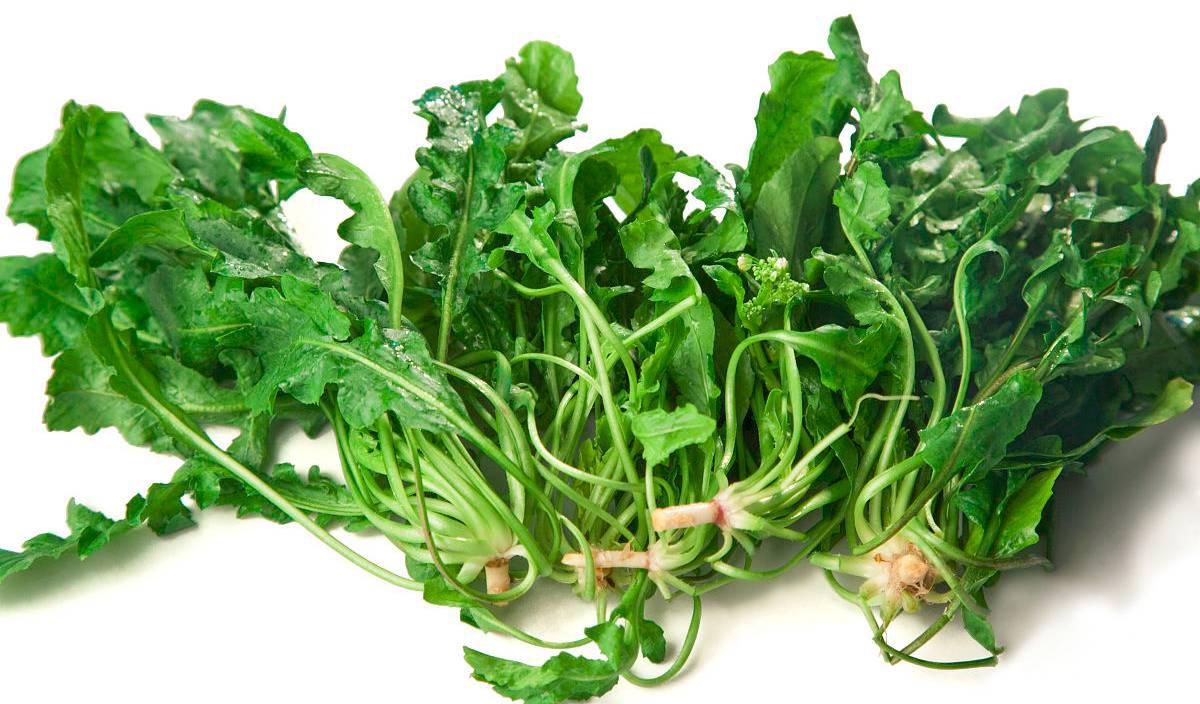 這5種食物不僅營養(yǎng)美味，還能保護視力！