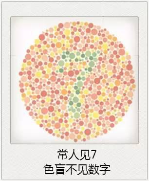 與視力相關的一些眼疾