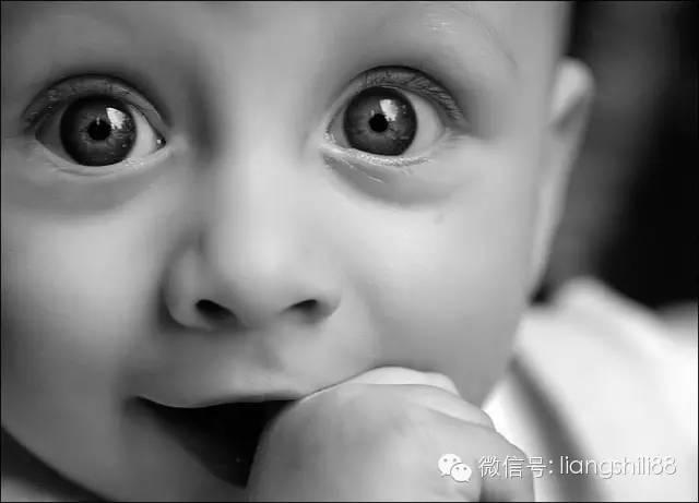 眼睛的視路包括哪幾部分？