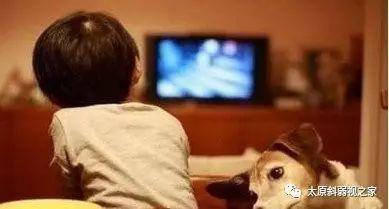 用電視哄孩子，視力傷害大