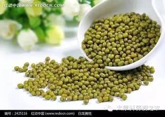 十種食物護眼抗輻射