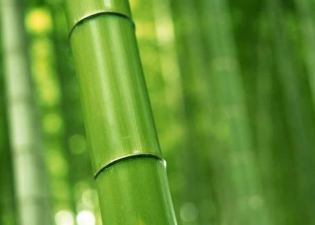 20個(gè)生活中的急救常識(shí) 