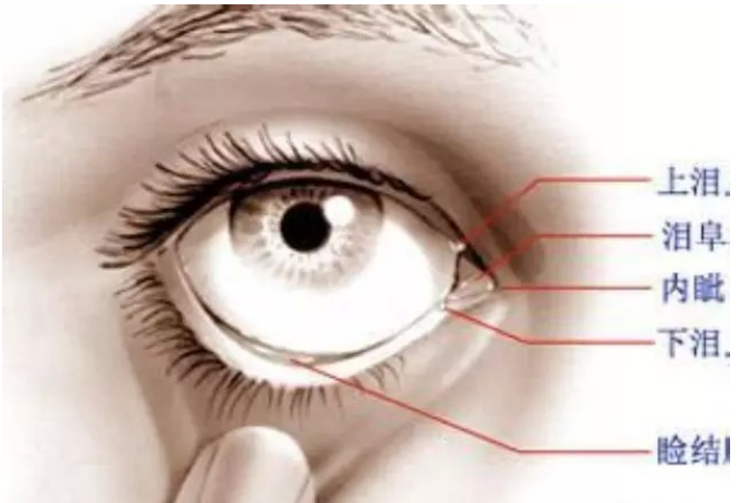 了解淚道疾病的那些事兒