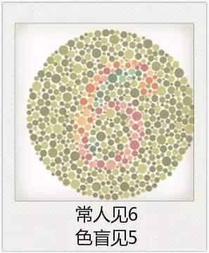 與視力相關的一些眼疾