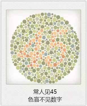 與視力相關的一些眼疾