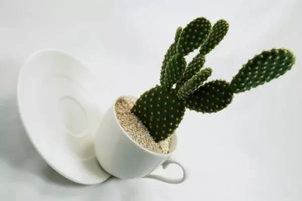 電腦、手機亮度該調多少才不傷眼睛?