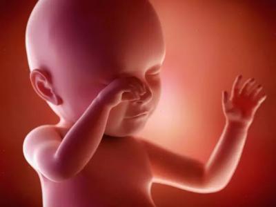 預防出生缺陷，要避開哪些雷區呢?