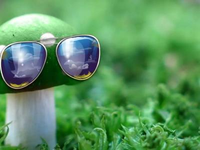 如何給孩子選擇太陽鏡？