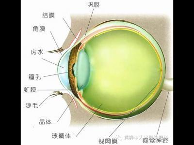 眼科科普，關(guān)于青光眼那些事兒