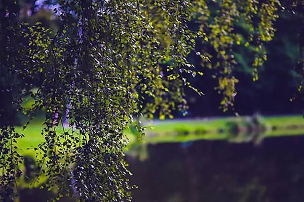 十大國(guó)產(chǎn)近視眼鏡品牌排行