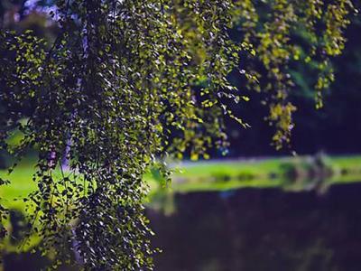 十大國產(chǎn)近視眼鏡品牌排行