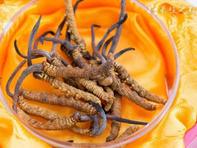 蕁麻疹有什么食療偏方