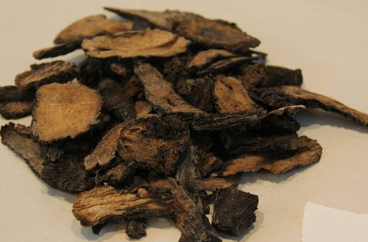 肉蓯蓉的危害極大-易網<a href=http://m.henggaotouzi.com/ target=_blank class=infotextkey>健康養生</a>網 肉蓯蓉的危害極大