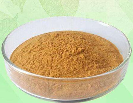 茶多酚的功效與作用及副作用