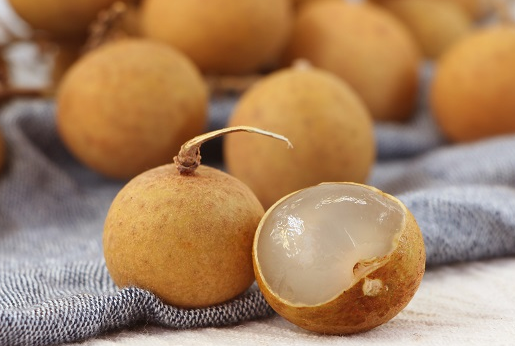 龍眼核的功效與作用