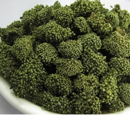 三七的功效與作用及禁忌-易網<a href=http://m.henggaotouzi.com/ target=_blank class=infotextkey>健康養生</a>網 三七的功效與作用及禁忌