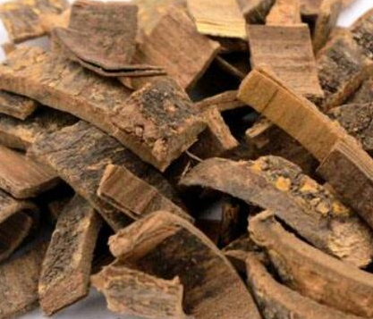 苦連樹皮的功效與作用及禁忌