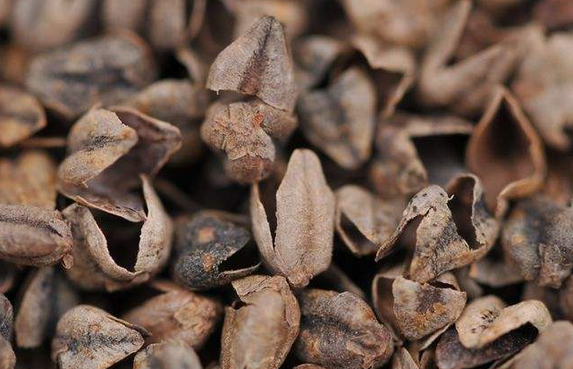 熬夜上火怎么辦？減少熬夜預防這種疾病