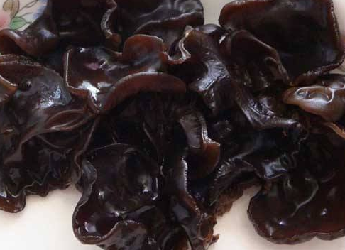 木耳的功效與作用禁忌_食用方法