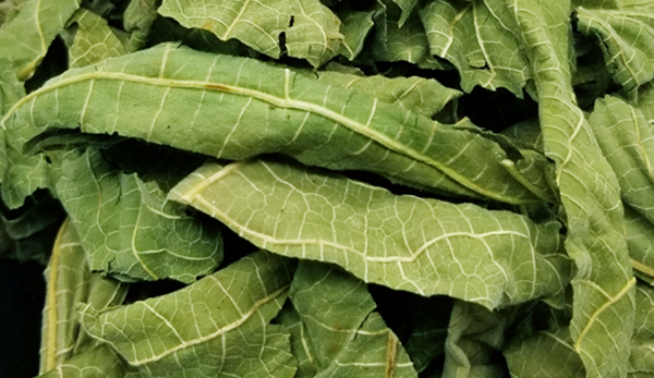 皮膚止癢的最快土方法