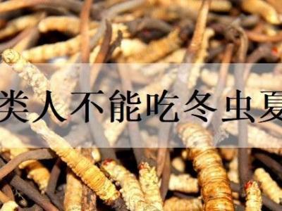 三類人不能吃冬蟲夏草