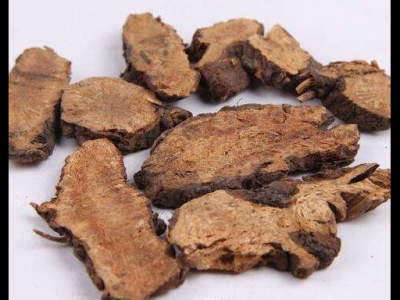 地榆的功效與作用及禁忌