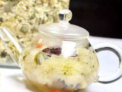 白菊花茶的功效與作用_禁忌