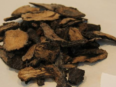 常見的10種補腎壯陽中藥材盤點