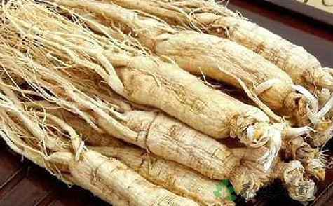 人參鹿鞭片和偉哥的區(qū)別