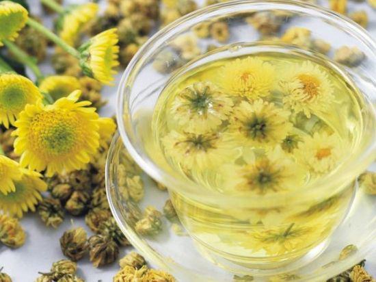 哪些人不能喝金絲皇菊