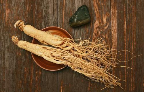 新鮮人參的功效和作用