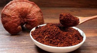 靈芝孢子粉的恰當吃法和用量