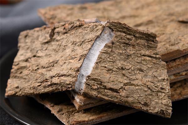 可以補腎壯陽的樹皮 杜仲的功效-易網健康<a href=http://m.henggaotouzi.com/jkys/ target=_blank class=infotextkey>養生</a>網 可以補腎壯陽的樹皮 杜仲的功效