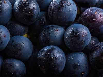 女人養腎的食物和水果，8種抗衰老補肝腎食物