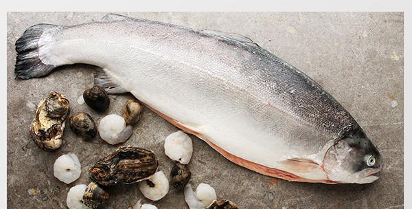 吃什么補蛋白質最快？十大高蛋白食物排行榜