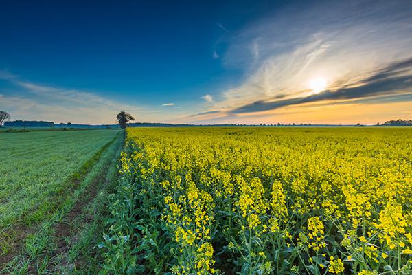 民間治近視偏方秘方?6種根治近視神奇民間秘方-易網(wǎng)健康<a href=http://m.henggaotouzi.com/jkys/ target=_blank class=infotextkey>養(yǎng)生</a>網(wǎng) 民間治近視偏方秘方?6種根治近視神奇民間秘方