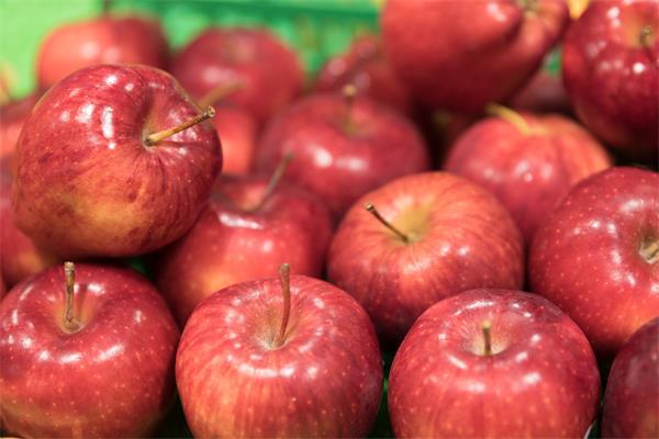 腹瀉吃什么食物好得快？5種可止瀉的食物