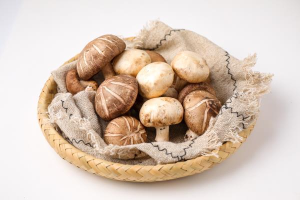 扁豆不能和什么一起吃？扁豆的禁忌搭配