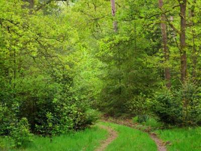 7種治面癱的民間偏方？治療最快的面癱老偏方