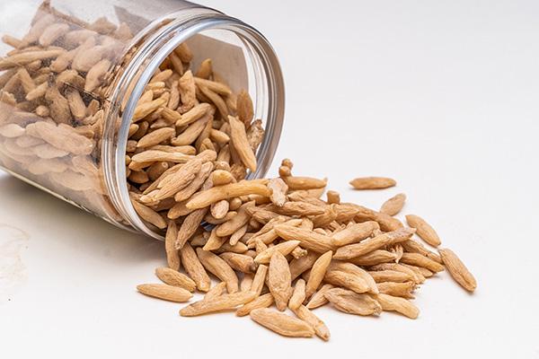 太子參補腎嗎 腎陽虛可以吃太子參嗎