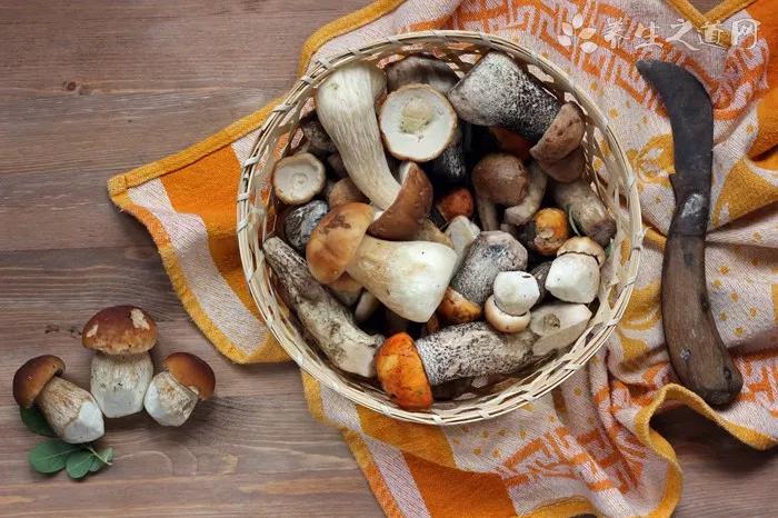 適合廚房小白的家常菜