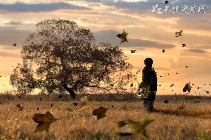 日本超酷炫幼兒園 在玩耍跌倒中學會生活-易網健康養生網 日本超酷炫幼兒園 在玩耍跌倒中學會生活
