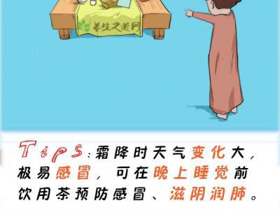 霜降時節喝什么茶好