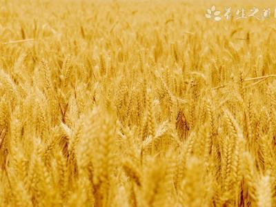 涼開水泡茶降血糖嗎