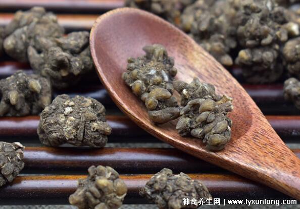 三種人不易吃貓抓草，陰虛體質(zhì)/孕婦小兒/過(guò)敏者慎用